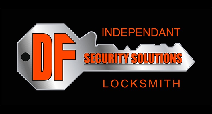 Df Security  Solutions Logo