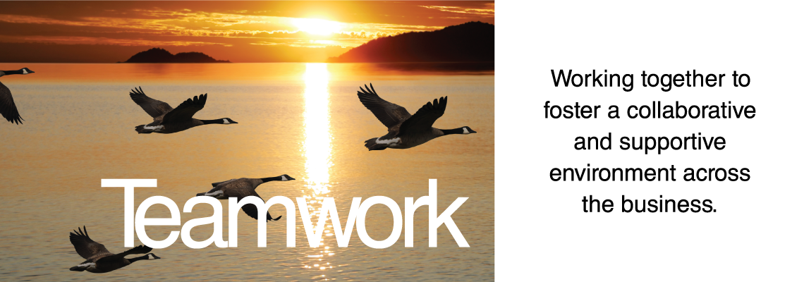 Teamwork