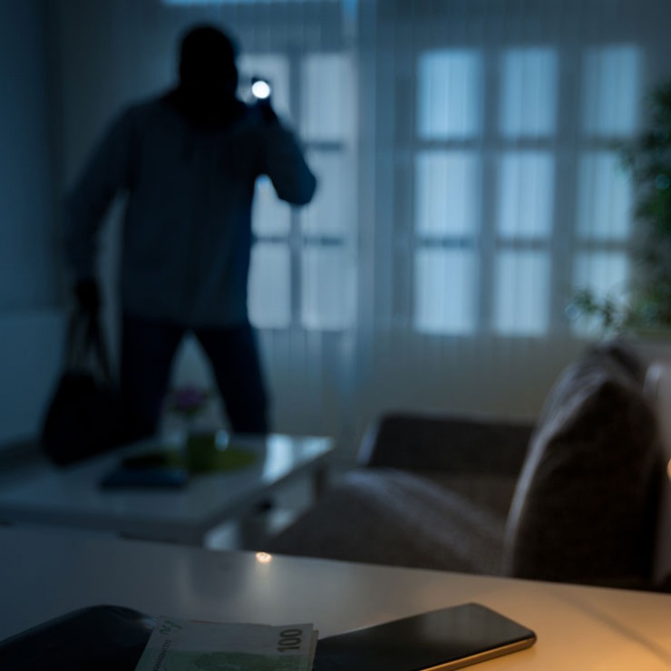 What Burglars Are Looking For in a Home